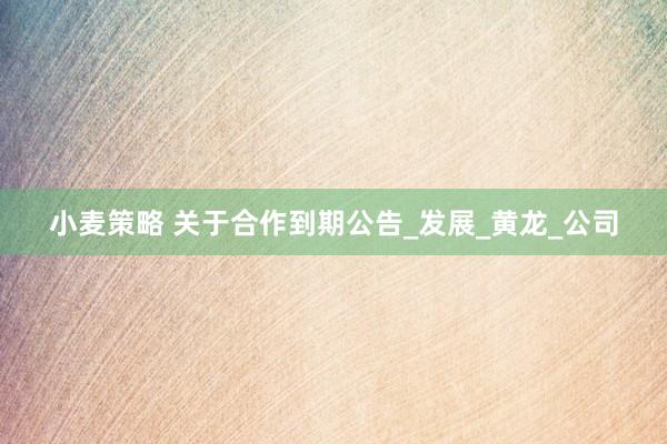 小麦策略 关于合作到期公告_发展_黄龙_公司