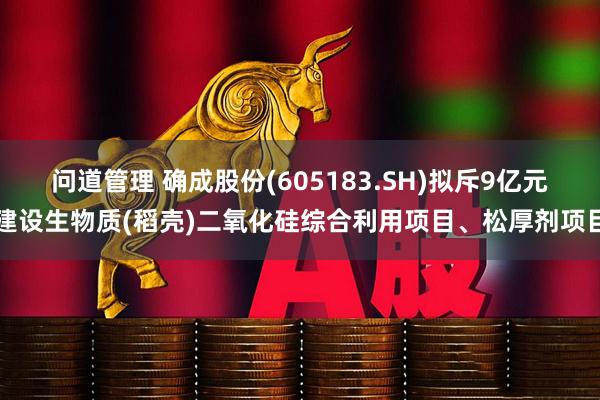 问道管理 确成股份(605183.SH)拟斥9亿元建设生物质(稻壳)二氧化硅综合利用项目、松厚剂项目