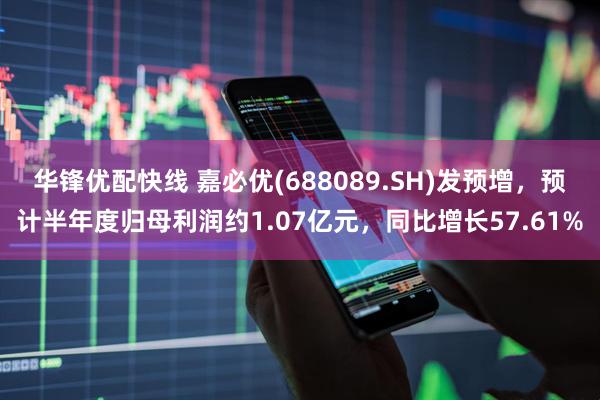 华锋优配快线 嘉必优(688089.SH)发预增，预计半年度归母利润约1.07亿元，同比增长57.61%