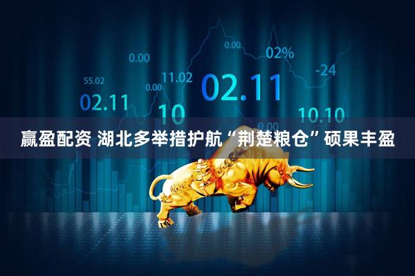赢盈配资 湖北多举措护航“荆楚粮仓”硕果丰盈